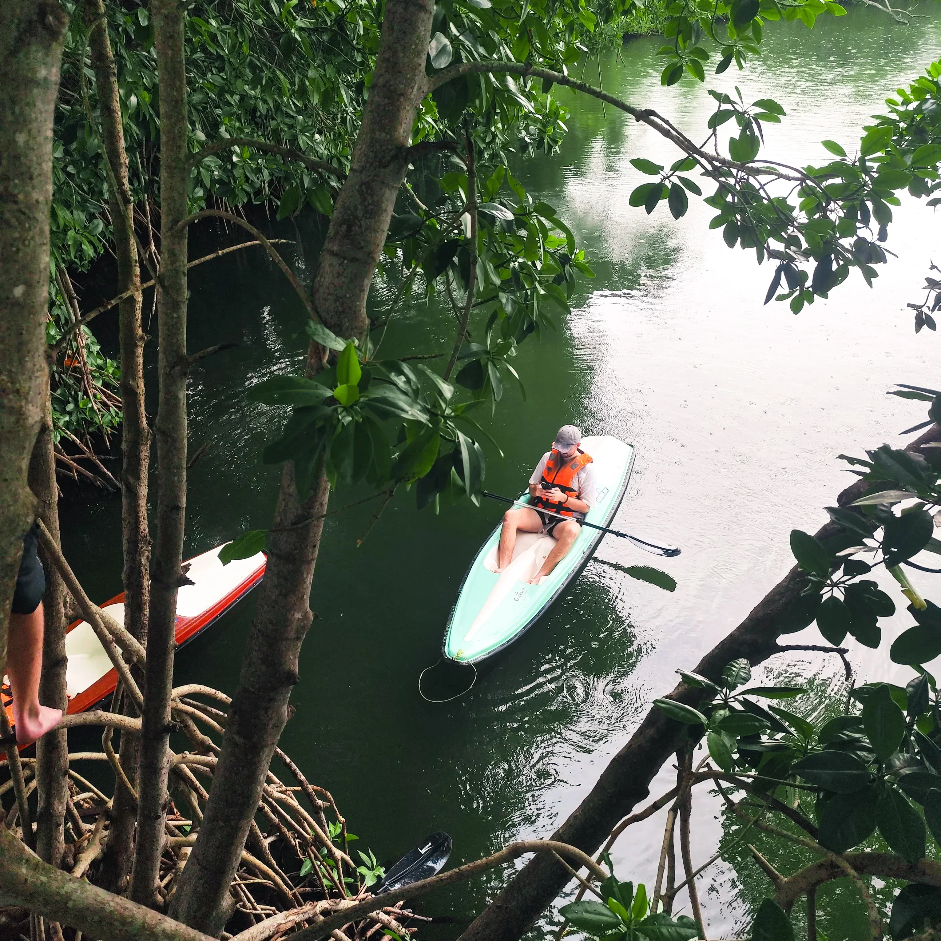 Kayaker paddling through Munroe Island mangrove canal at dawn